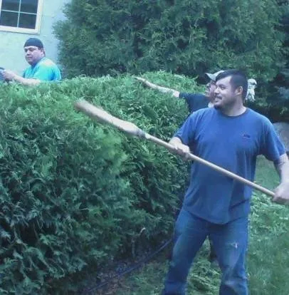 Expert yard cleanup service in Brooklyn Center, MN by Green Hills Irrigation & Landscaping