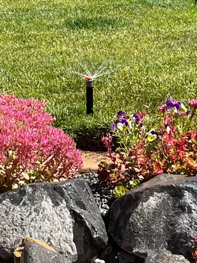 Custom residential landscaping experts serving Reno, NV - Green Hills Landscape Pest Control