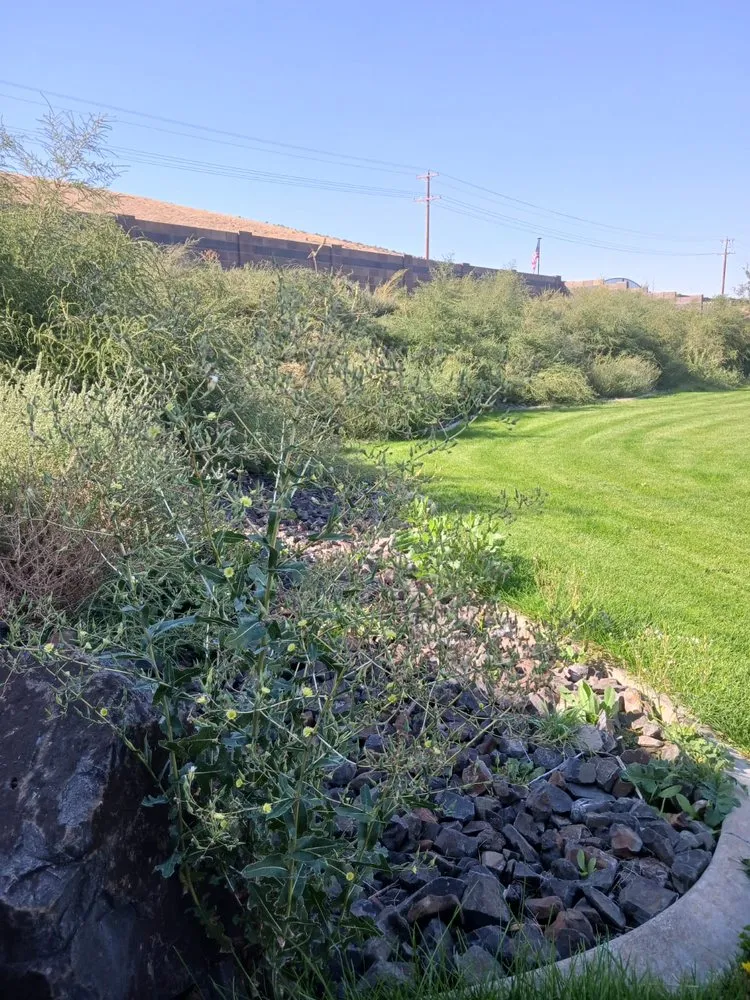 Trusted landscape installation near you in Kennewick, WA by Green Hills Landscaping & Lawn Care
