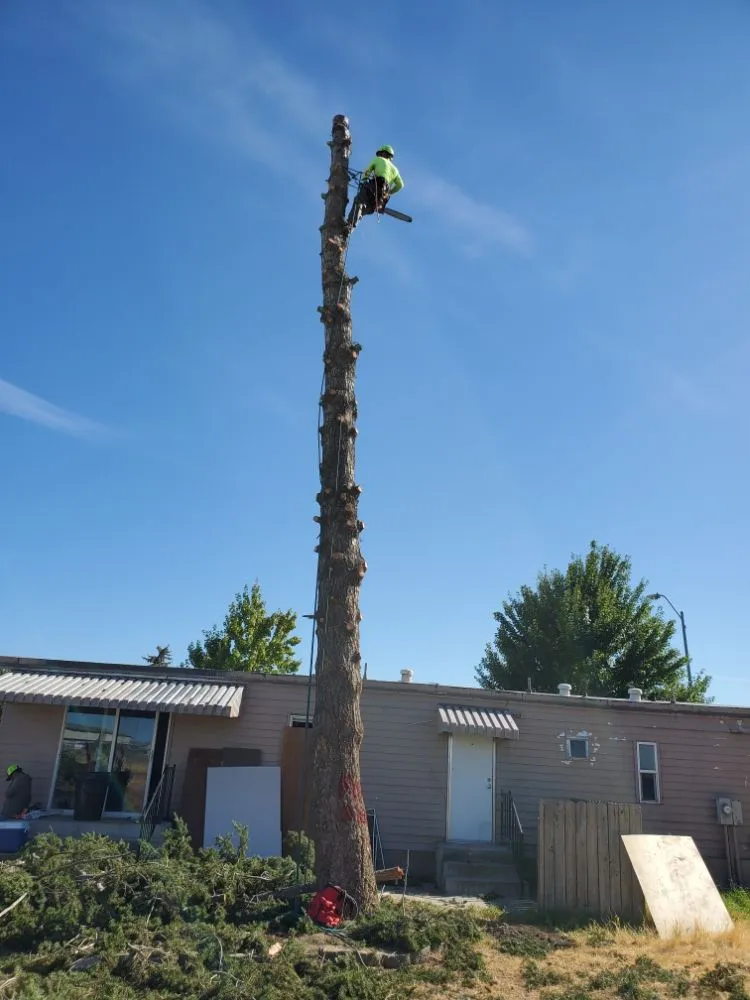 Affordable yard maintenance experts serving Kennewick, WA - Green Hills Landscaping & Lawn Care