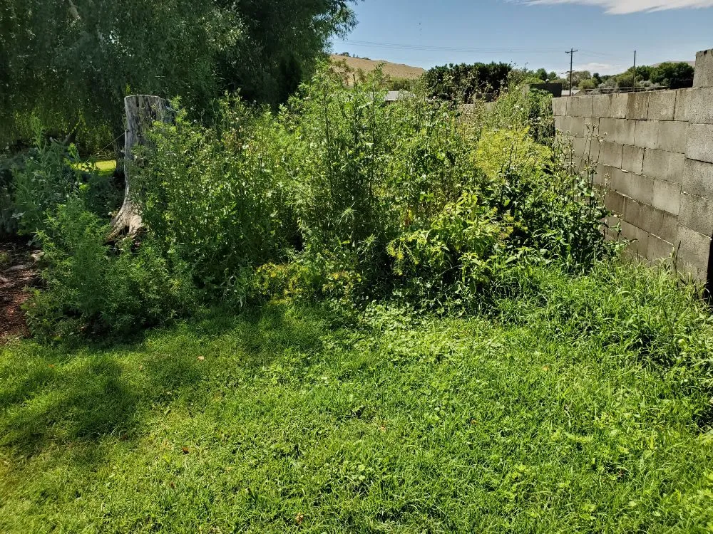 Expert residential landscaping for homes across Kennewick, WA - Green Hills Landscaping & Lawn Care