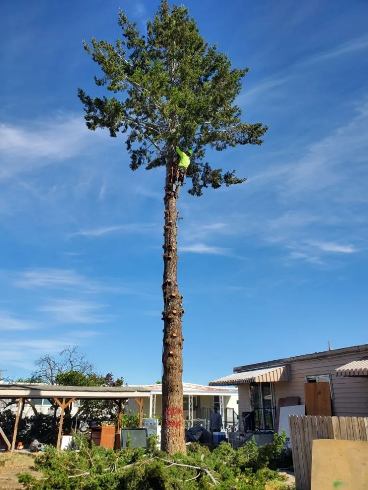 Reliable landscaping services for homes in Kennewick, WA by Green Hills Landscaping & Lawn Care