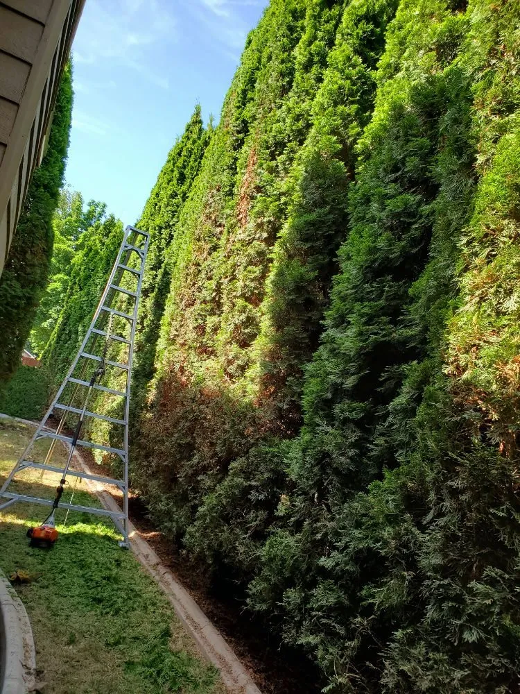 Custom yard cleanup service in Kennewick, WA - Green Hills Landscaping & Lawn Care