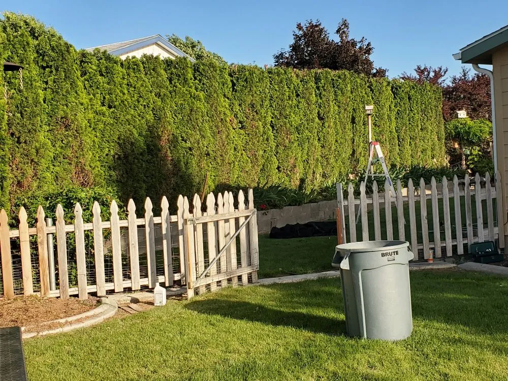 Custom lawn care service for year-round maintenance in Kennewick, WA by Green Hills Landscaping & Lawn Care