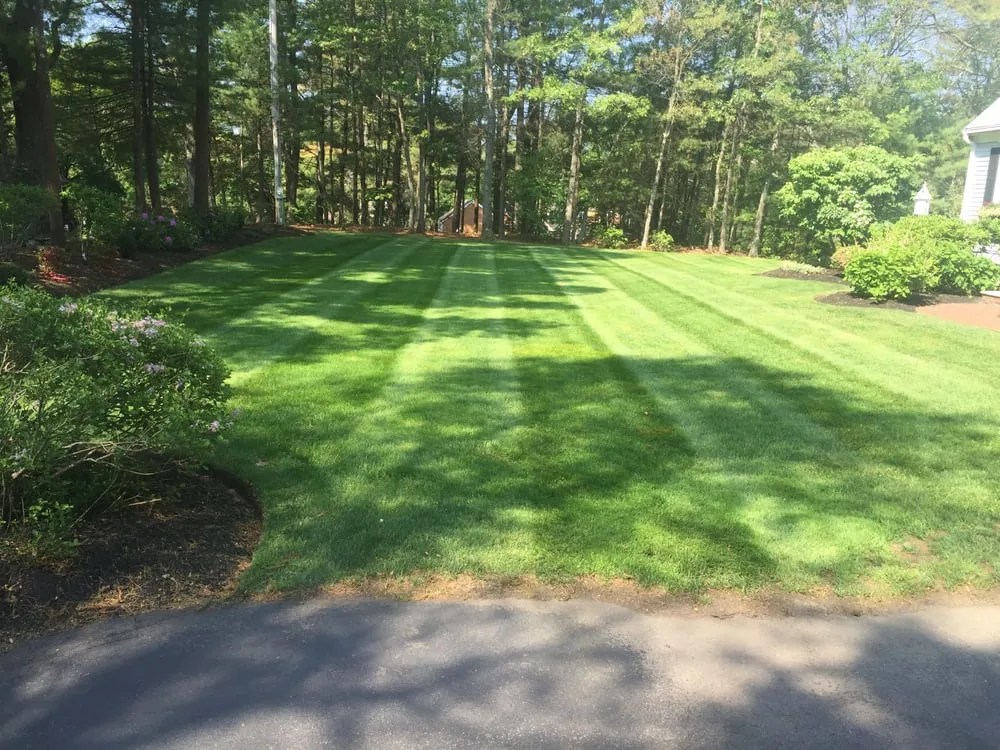 Custom yard cleanup service experts serving Brockton, MA - Green Hills Landscaping