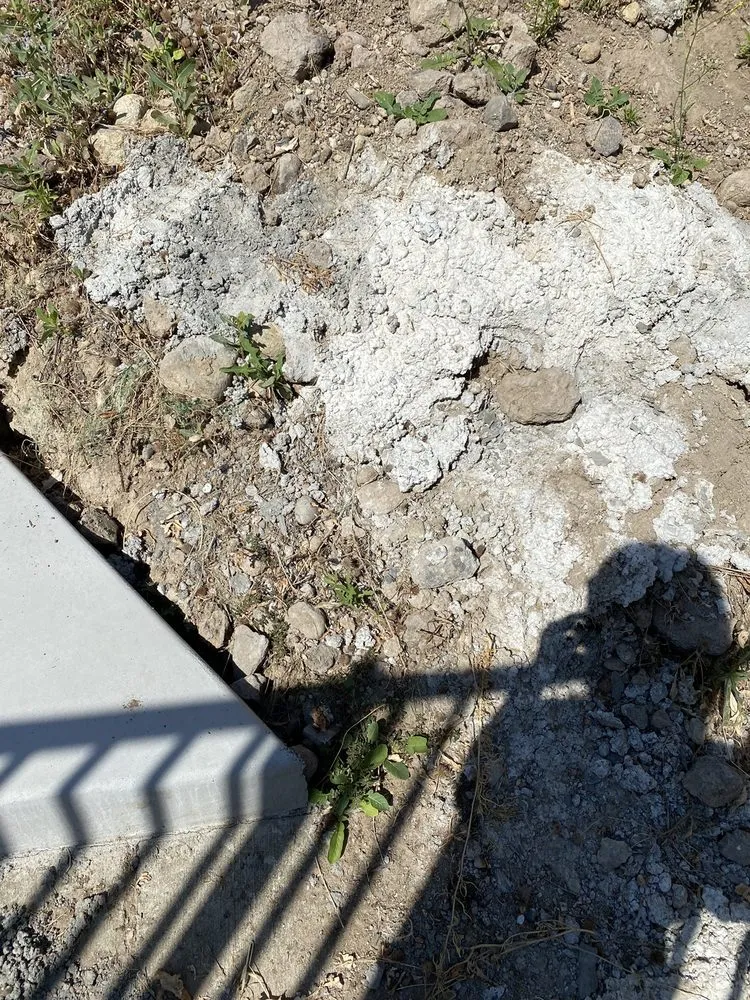 Affordable garden landscaping for homes across Carrollton, TX - Green Hills Landscaping