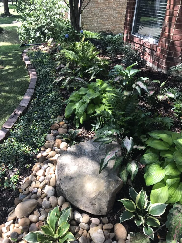 Affordable yard cleanup service experts serving Carrollton, TX - Green Hills Landscaping