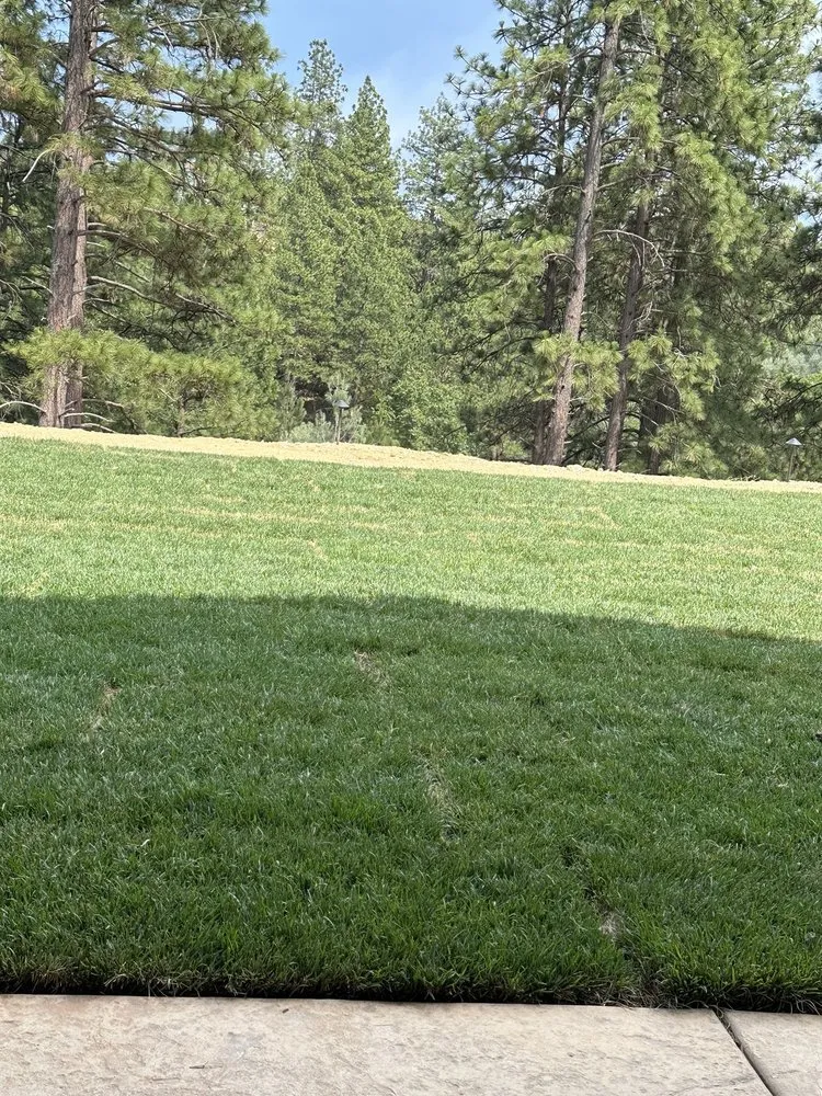 Trusted lawn care service with custom design across Placerville, CA - Green Hills Landscaping