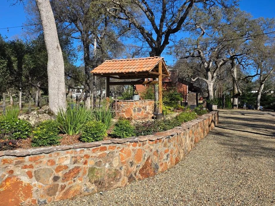 Professional yard cleanup service for year-round maintenance in Placerville, CA by Green Hills Landscaping