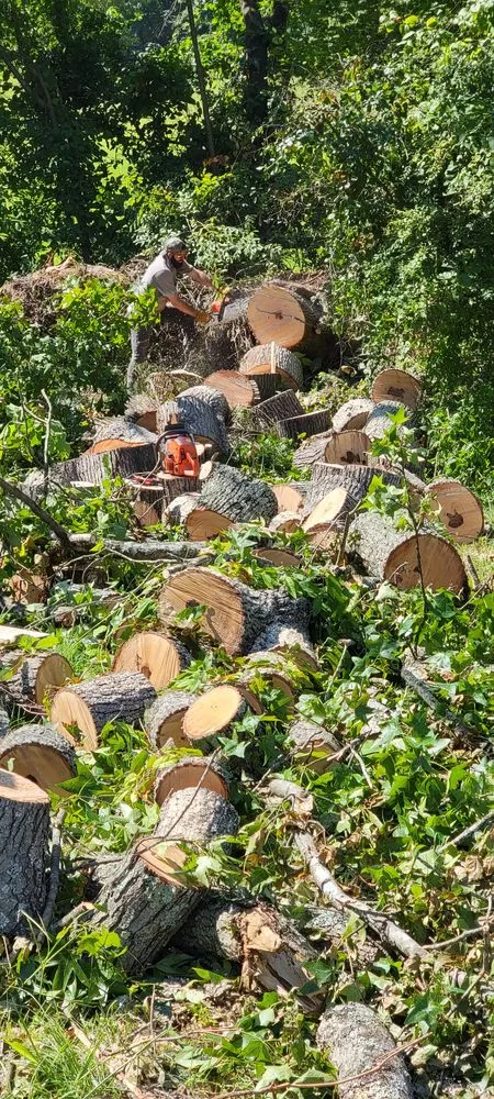 Custom garden landscaping for residential properties in Brunswick, GA by Green Hills Lawn Care