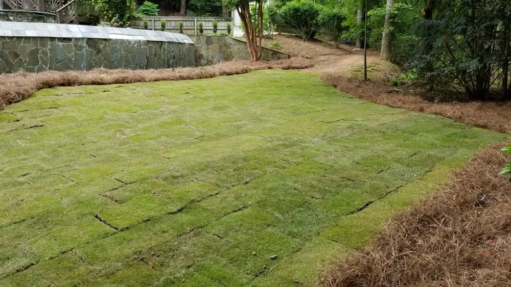 Reliable residential landscaping in Brunswick, GA by Green Hills Lawn Care