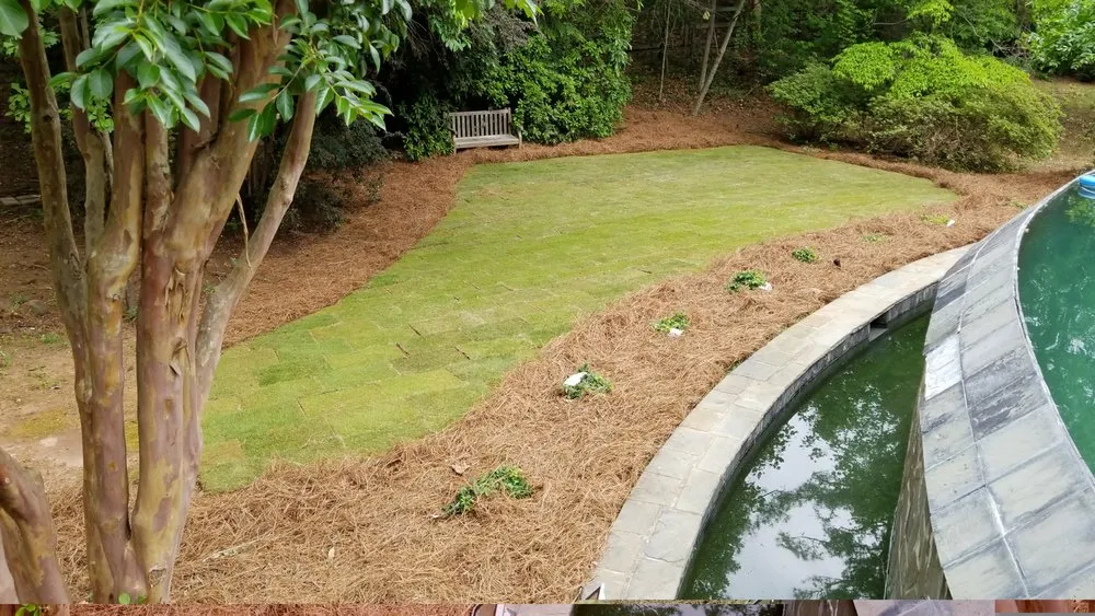 Custom lawn care service in Brunswick, GA by Green Hills Lawn Care