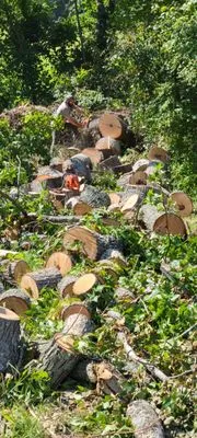 Green Hills Lawn Care Logo