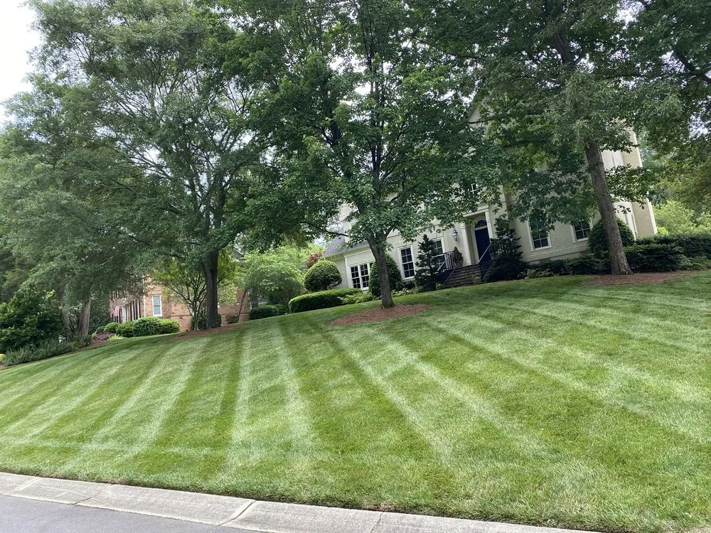 Professional outdoor landscaping in Rock Hill, SC by Green Hills