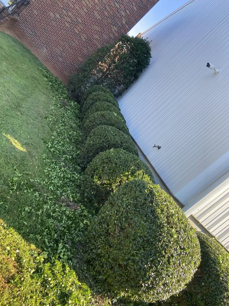 Local lawn care service near you in Rock Hill, SC by Green Hills