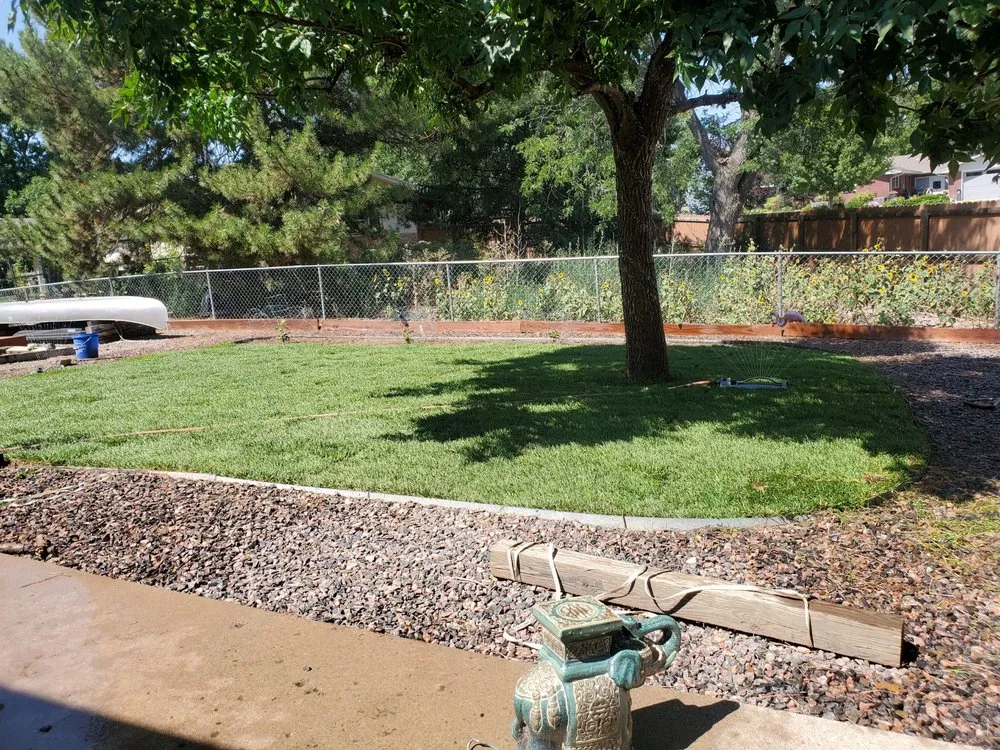 Professional outdoor landscaping experts serving Berthoud, CO - Green Hills Sod Farm