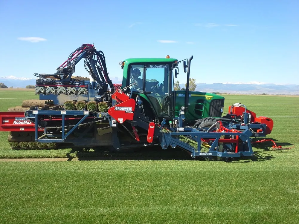 Local garden landscaping for year-round maintenance across Berthoud, CO - Green Hills Sod Farm