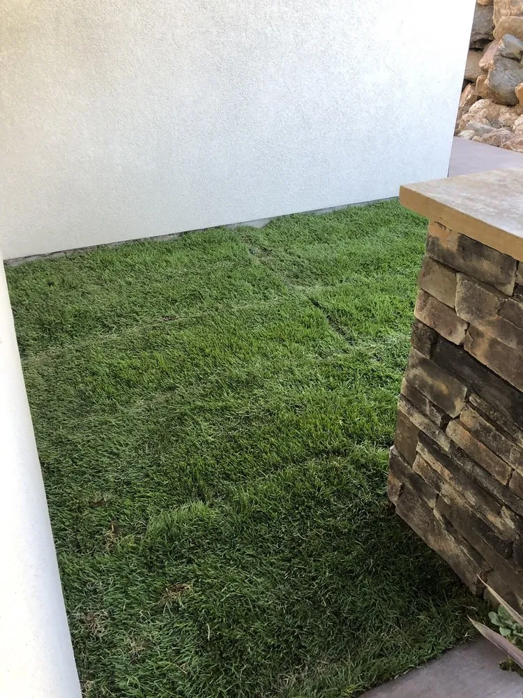 Affordable landscaping services in Berthoud, CO by Green Hills Sod Farm