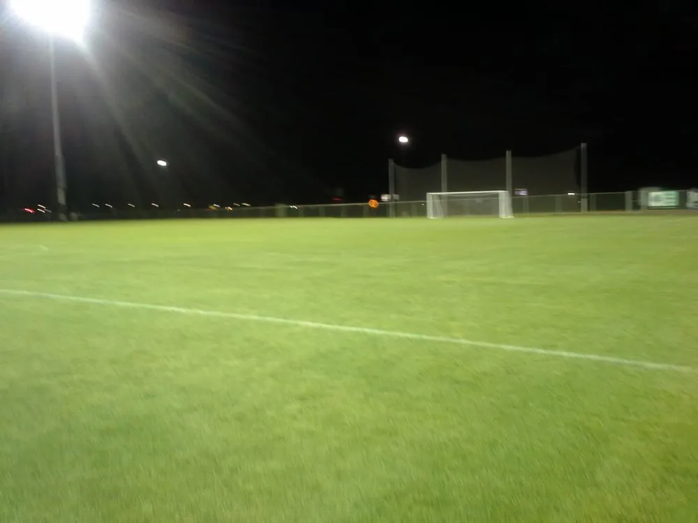 Expert yard cleanup service near you in Berthoud, CO by Green Hills Sod Farm