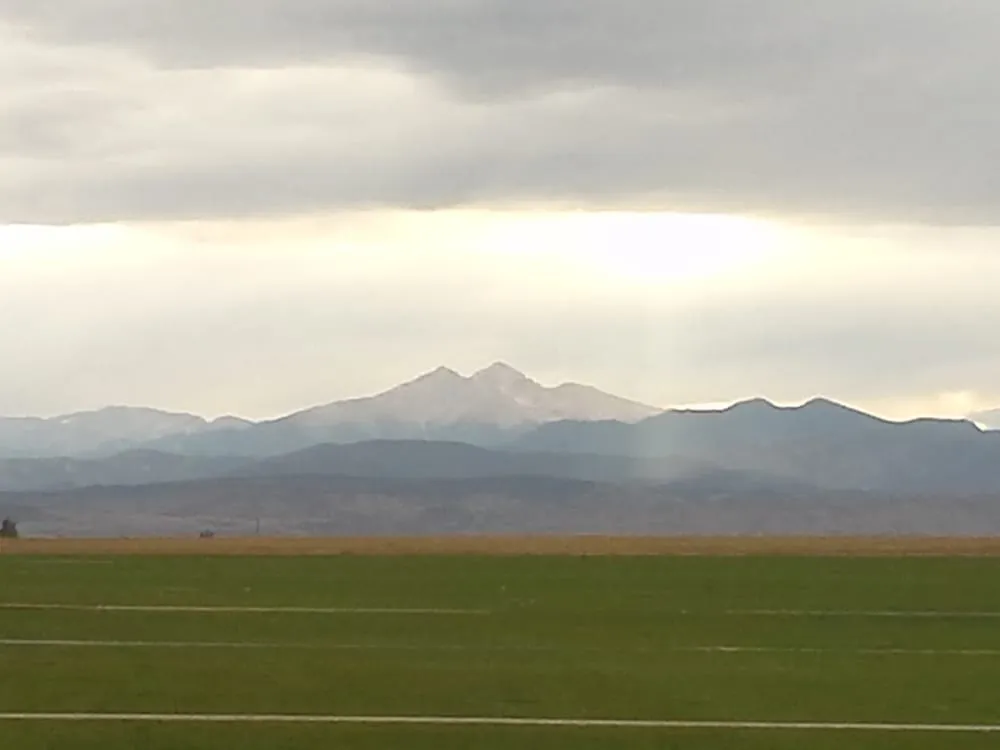 Custom yard cleanup service in Berthoud, CO - Green Hills Sod Farm