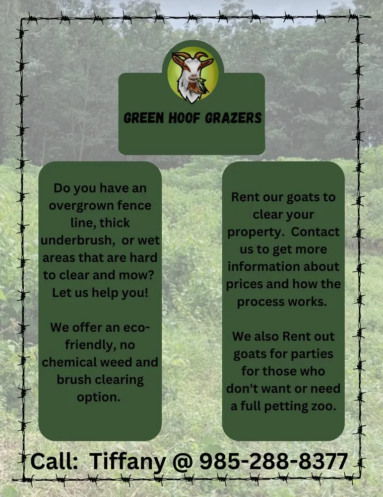 Reliable yard maintenance for homes across Carriere, MS - Green Hoof Grazers