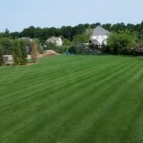 Professional yard maintenance experts serving Centereach, NY - Green Horizon Enterprises