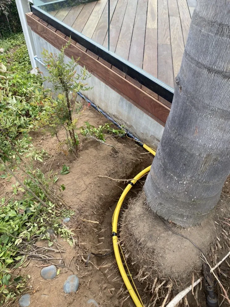 Reliable yard maintenance for beautiful yards in Encinitas, CA by Green Horizon Landscape