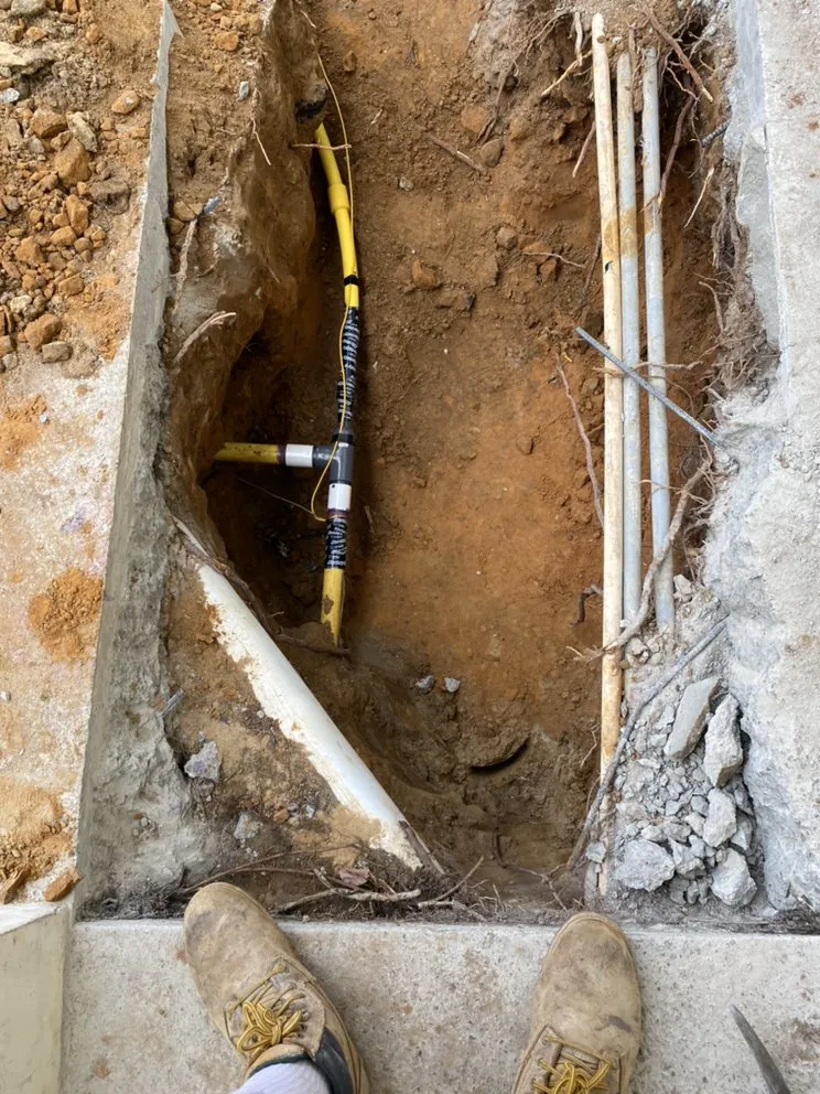 Professional lawn care service in Encinitas, CA by Green Horizon Landscape