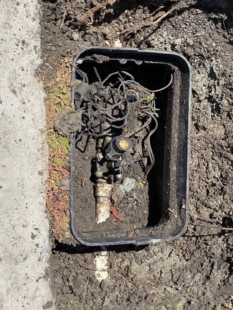 Affordable residential landscaping experts serving Encinitas, CA - Green Horizon Landscape