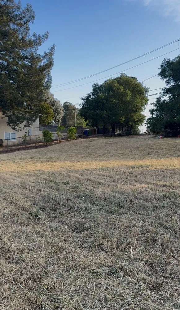 Local yard maintenance with custom design across Hayward, CA - Green Horizon Landscape