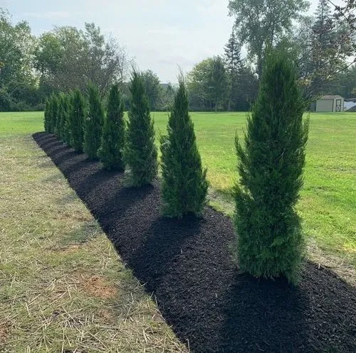 Reliable landscape installation for year-round maintenance in Islip, NY by Green Horizon Landscaping & Design