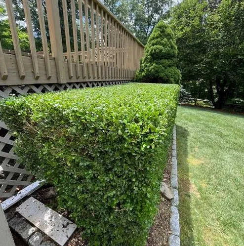 Affordable landscape design in Islip, NY - Green Horizon Landscaping & Design