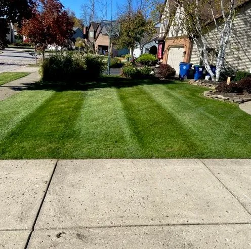 Professional lawn care service in Islip, NY - Green Horizon Landscaping & Design