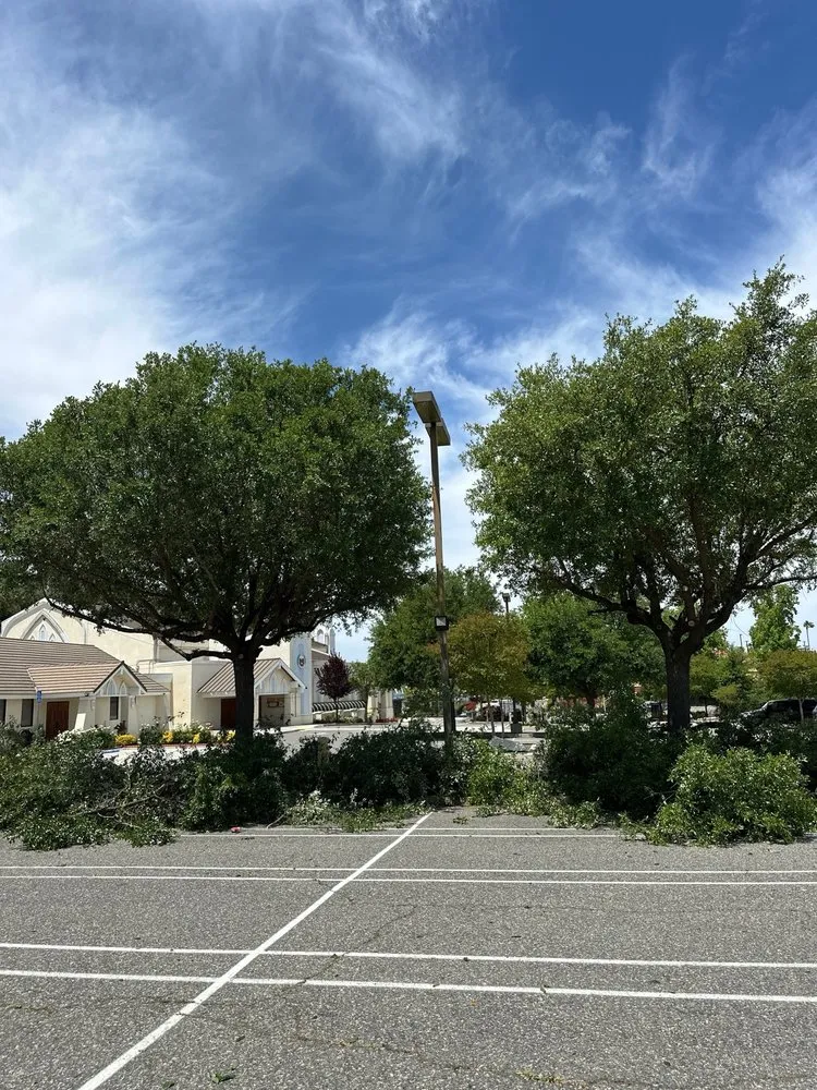 Local landscaping services in Perris, CA - Green Horizon Landscaping