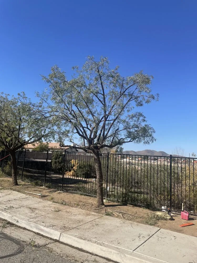 Expert lawn care service in Perris, CA by Green Horizon Landscaping