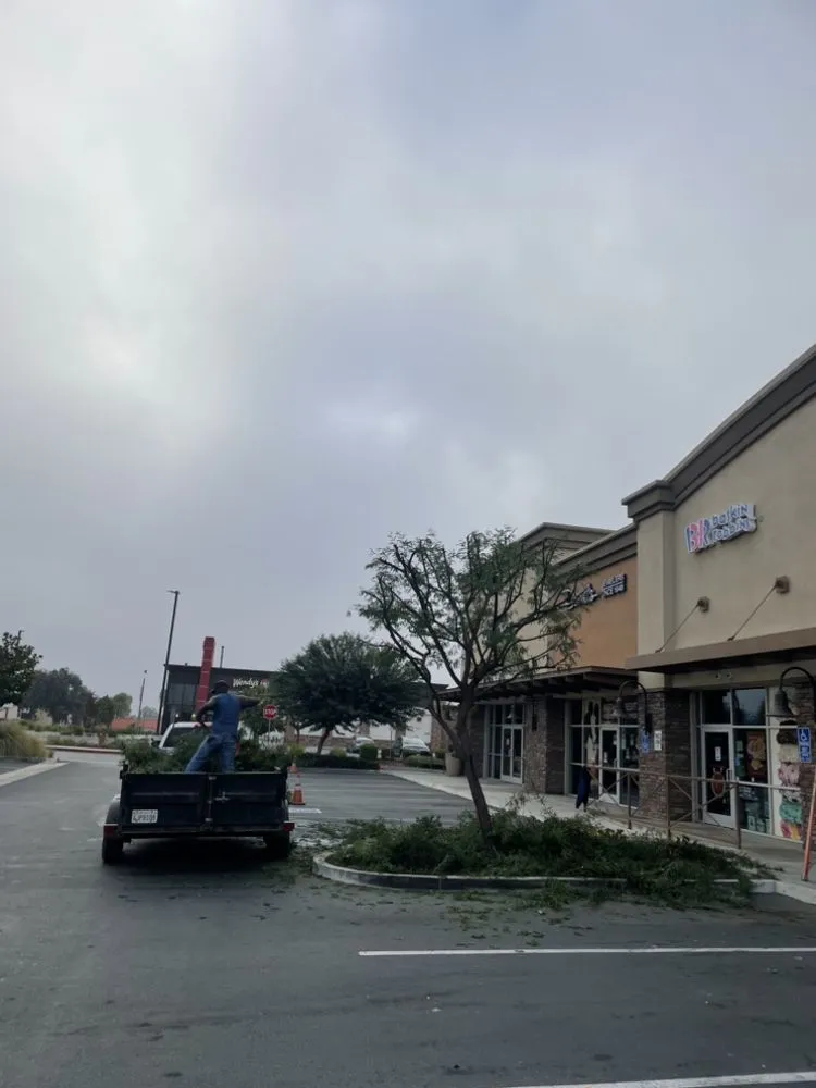 Reliable landscape design for outdoor upgrades in Perris, CA by Green Horizon Landscaping