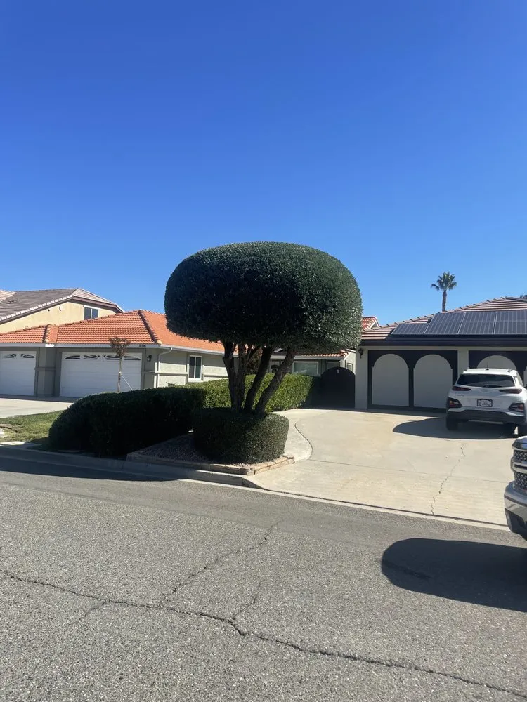 Local outdoor landscaping near you in Perris, CA by Green Horizon Landscaping