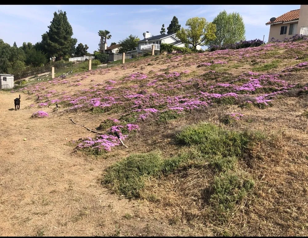 Affordable lawn mowing service experts serving Perris, CA - Green Horizon Landscaping