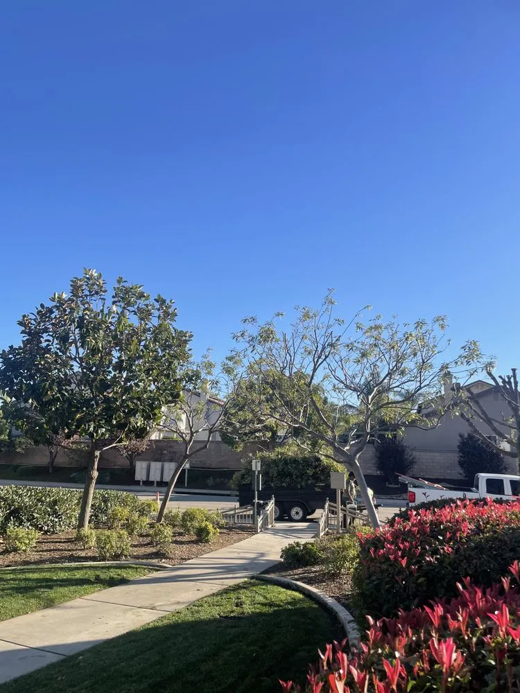 Trusted landscape installation in Perris, CA by Green Horizon Landscaping