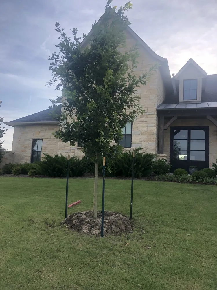 Professional lawn care service in Wylie, TX - Green Horizon landscaping