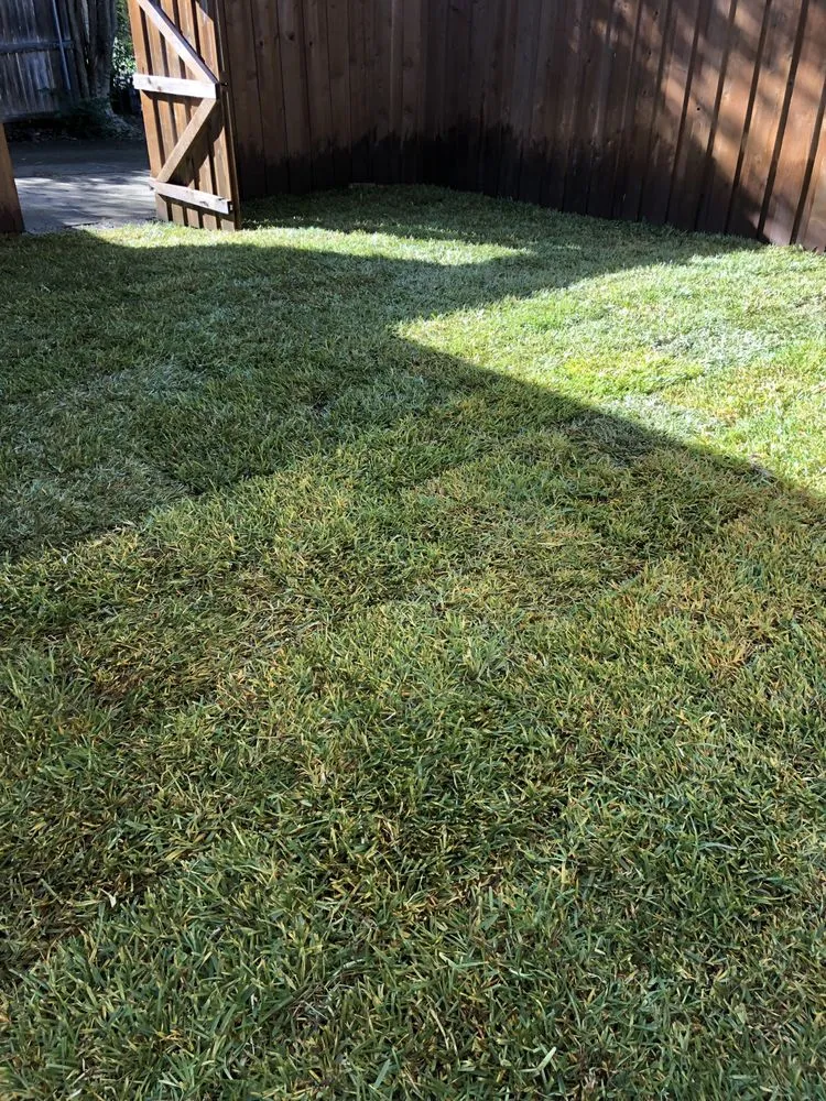 Trusted residential landscaping in Wylie, TX by Green Horizon landscaping