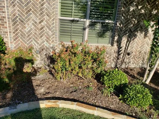 Green Horizon landscaping Logo