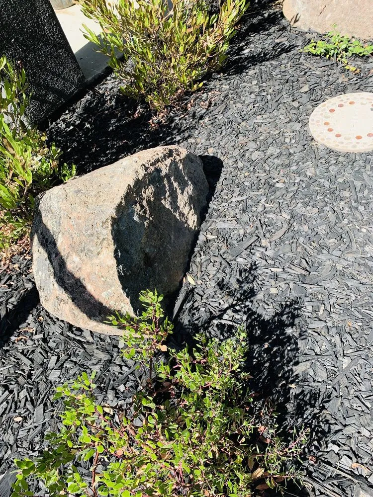 Reliable landscaping services in Turlock, CA by Green Horizon Lanscaping