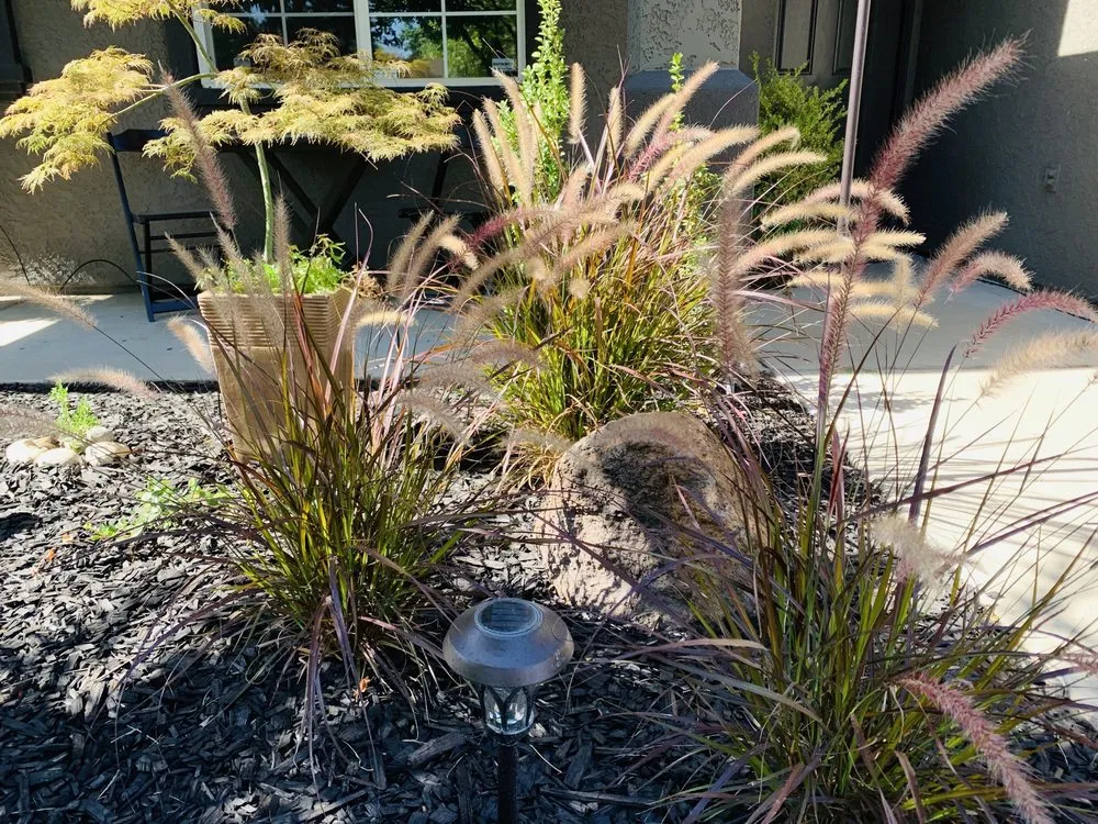 Reliable garden landscaping experts serving Turlock, CA - Green Horizon Lanscaping