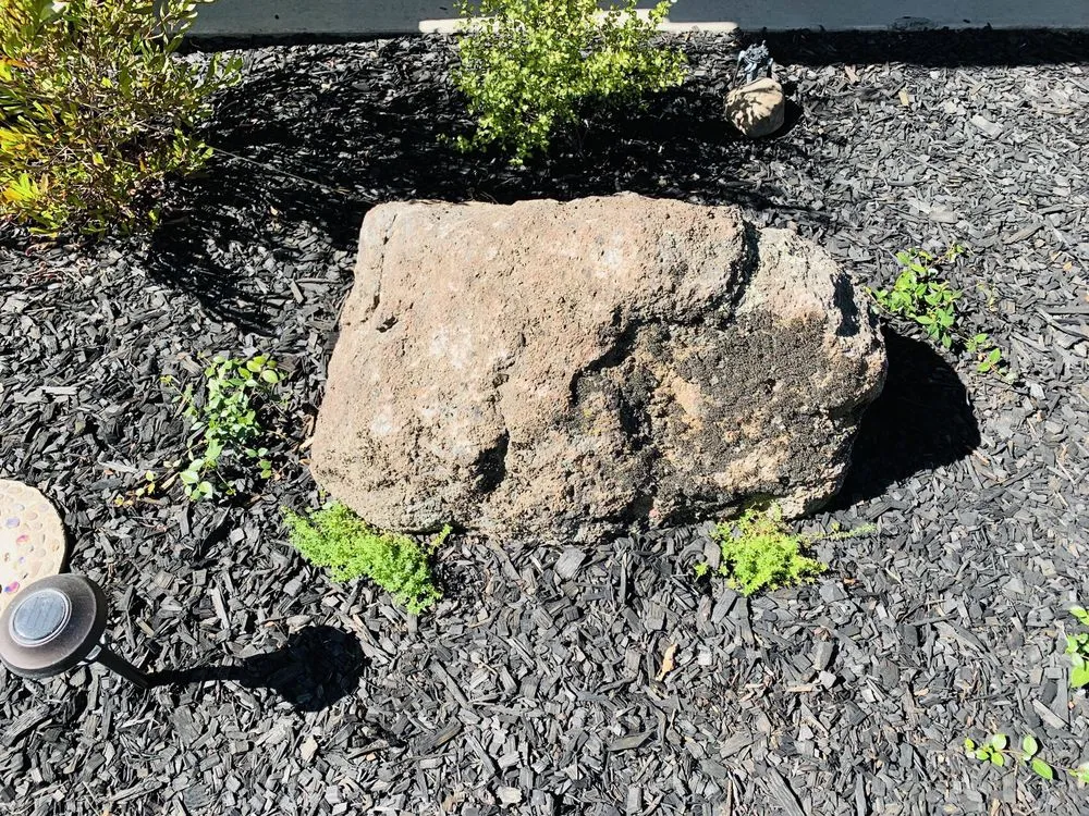 Local yard cleanup service for residential properties in Turlock, CA by Green Horizon Lanscaping