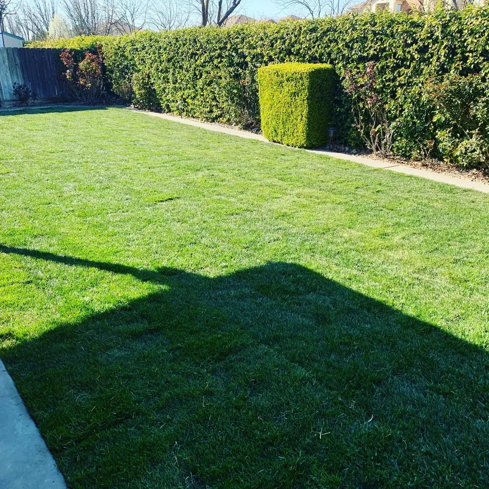 Top-rated landscape design with custom design across Turlock, CA - Green Horizon Lanscaping