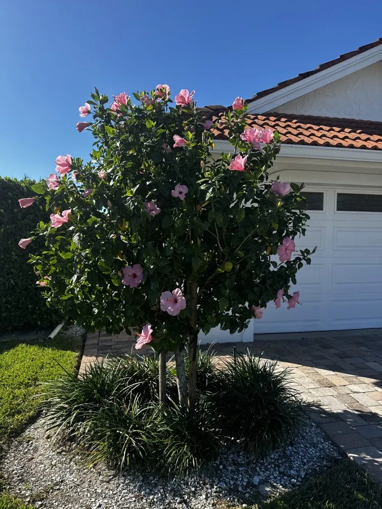 Expert yard maintenance in Naples, FL by Green Horizon Lawn Care