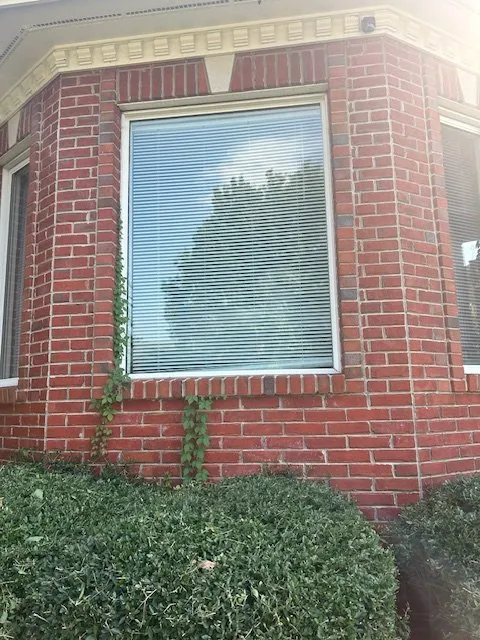 Local landscaping services for outdoor upgrades across Huntsville, AL - Green Horizon Lawncare And More