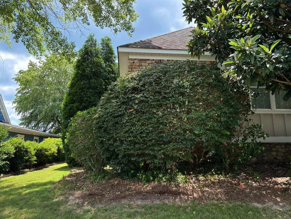 Top-rated outdoor landscaping for homes in Windsor, SC by Green Horizon Property Services
