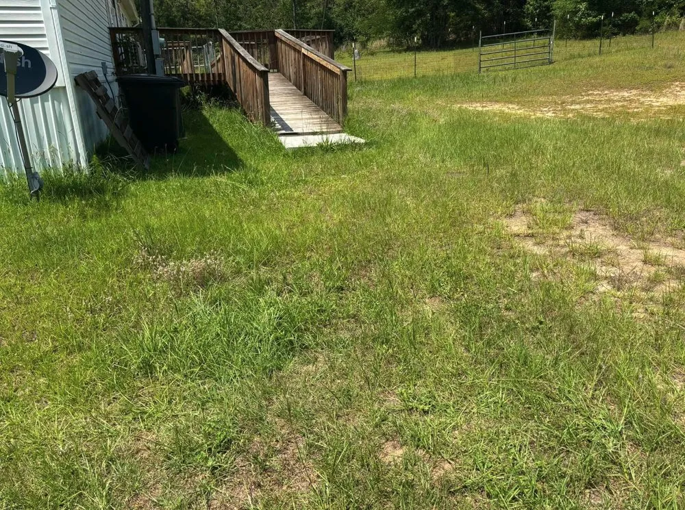 Trusted yard cleanup service for year-round maintenance in Windsor, SC by Green Horizon Property Services